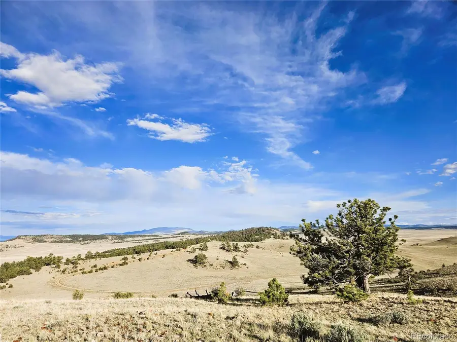 PCS#24142 Antero Road, Hartsel, CO 80449 - #2