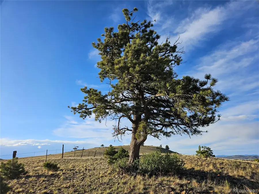 PCS#24142 Antero Road, Hartsel, CO 80449 - #3