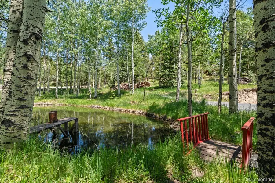 9030 Rex Lane, Conifer, CO 80433 - #3