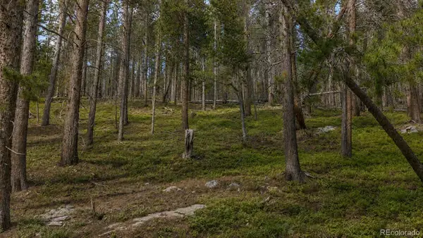 000 Steuart Road, Idaho Springs, CO 80452