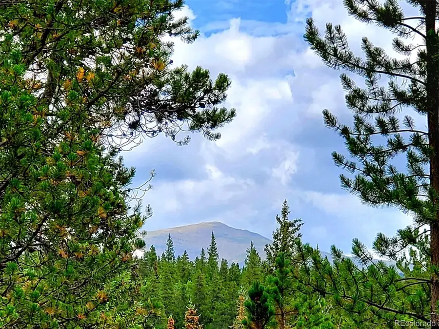 211 Pine Ridge Road, Alma, CO 80420 - #3