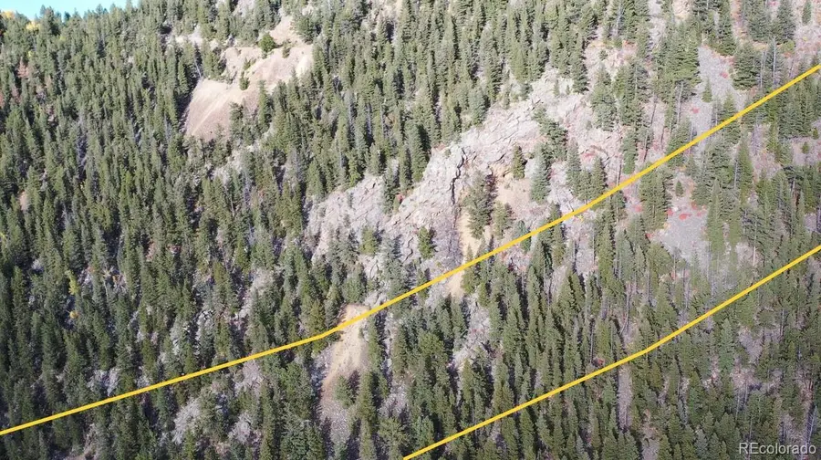 111 Bellevue Mountain Drive, Idaho Springs, CO 80452 - #2