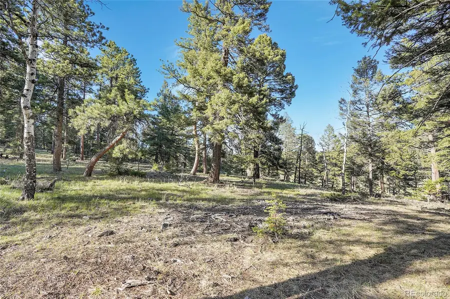 Molly Dr, Lot #1, Conifer, CO 80433 - #3