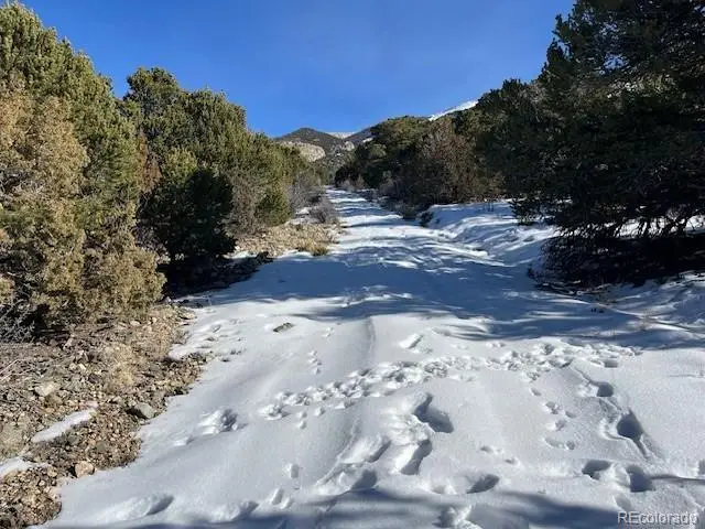 209 Blanca Place, Mosca, CO 81146 - #3