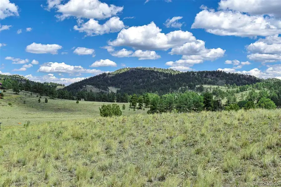 4680 County Road 71, Guffey, CO 80820 - #3