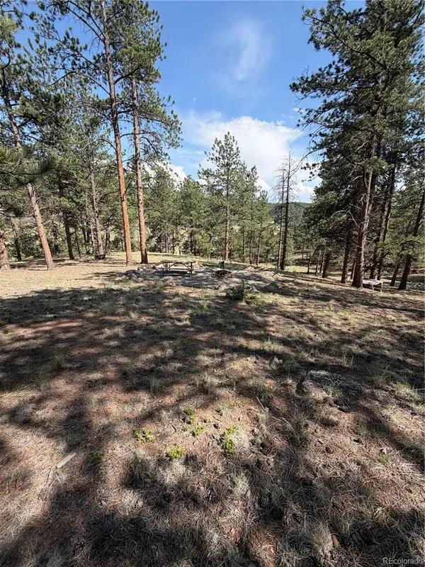 39 Rabbil Creek Trail, Florissant, CO 80816