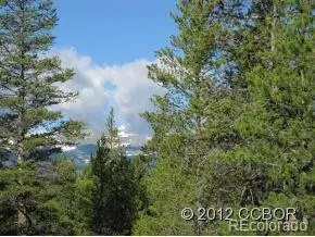 205 Alpine Cirque, Leadville, CO 80461