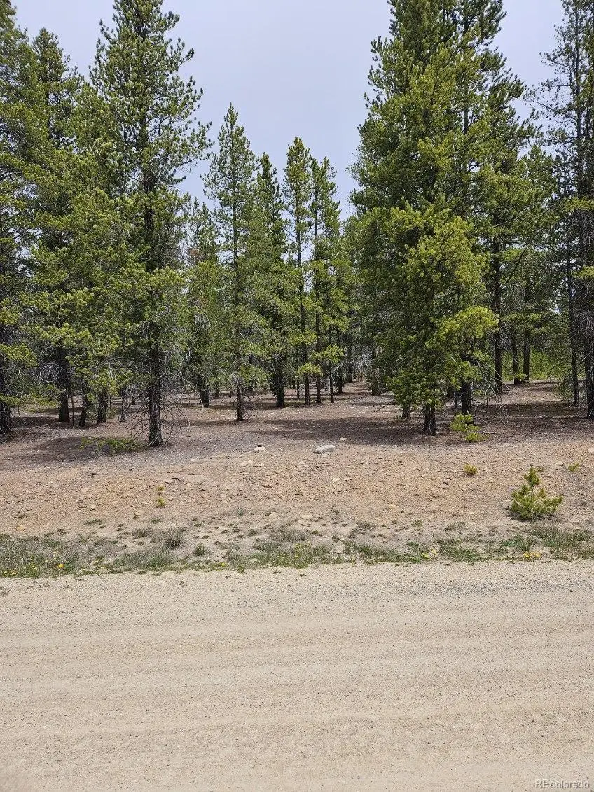 205 Alpine Cirque, Leadville, CO 80461 - #3