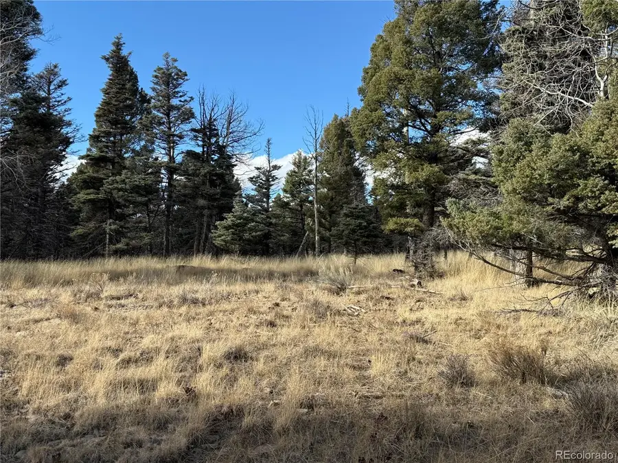 310 Morley Place, Fort Garland, CO 81133 - Image #2