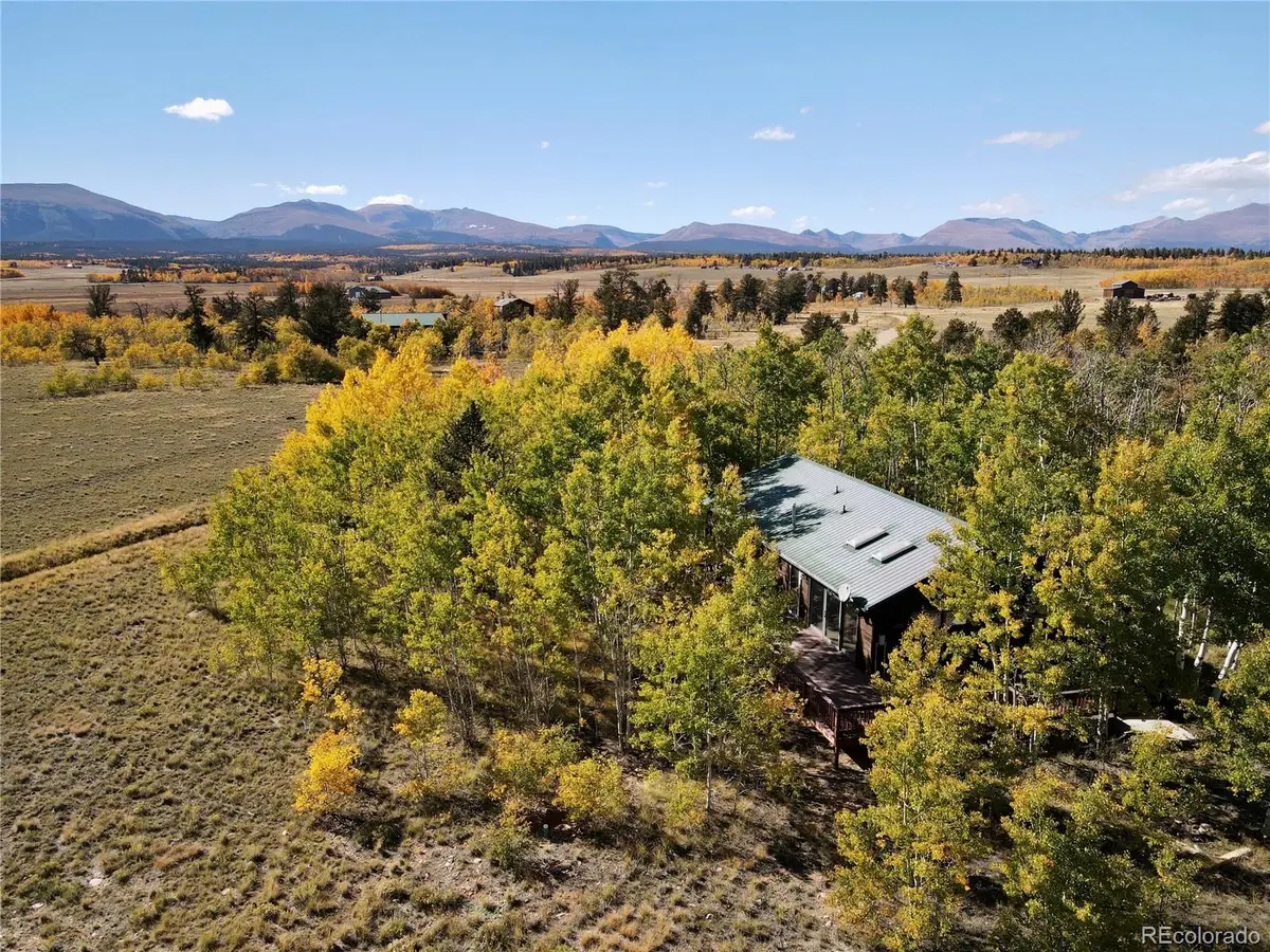 318 Foxtail Lane, Fairplay, CO 80440 - #1