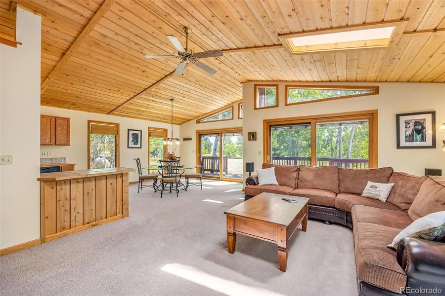 318 Foxtail Lane, Fairplay, CO 80440 - #3