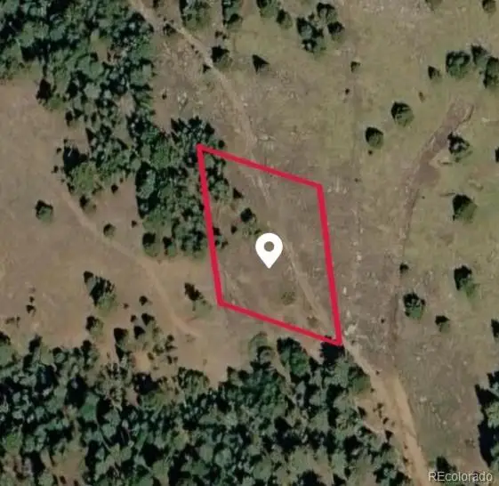 538 Anges Drive, Cripple Creek, CO 80813
