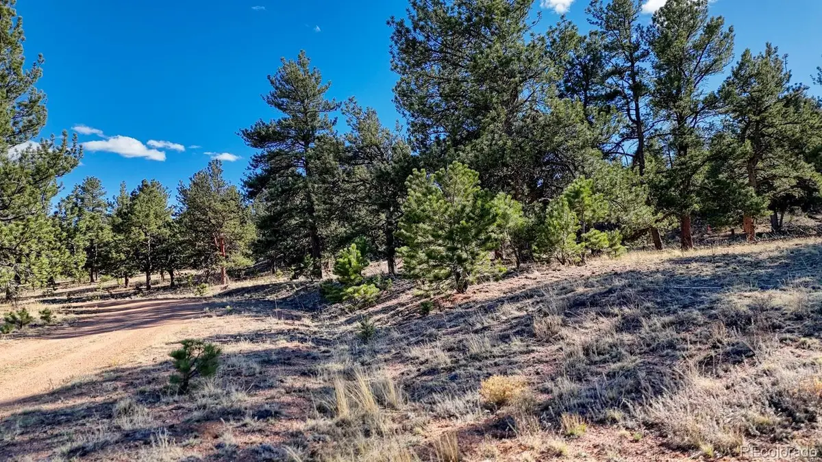 L5124 Arikara Trail, Hartsel, CO 80449 - #1