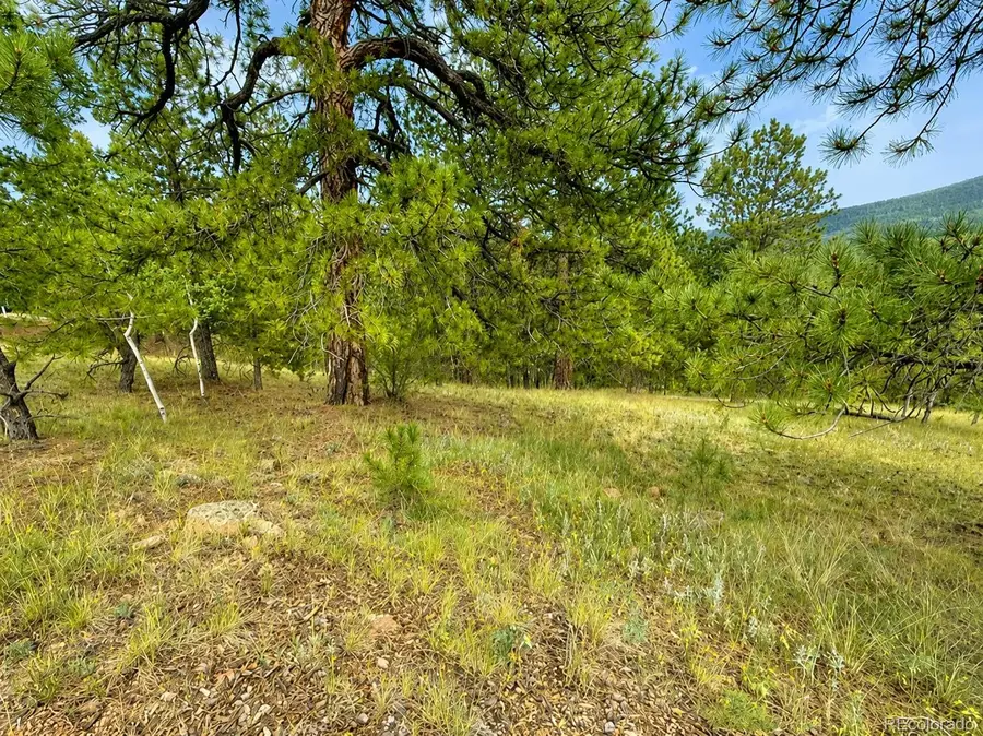 88 May Queen Way, Cripple Creek, CO 80813 - #3