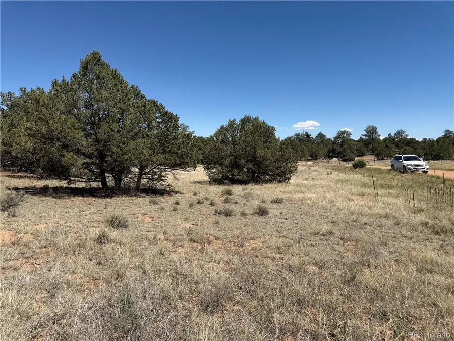 520 W View Road, Cotopaxi, CO 81223 - #2
