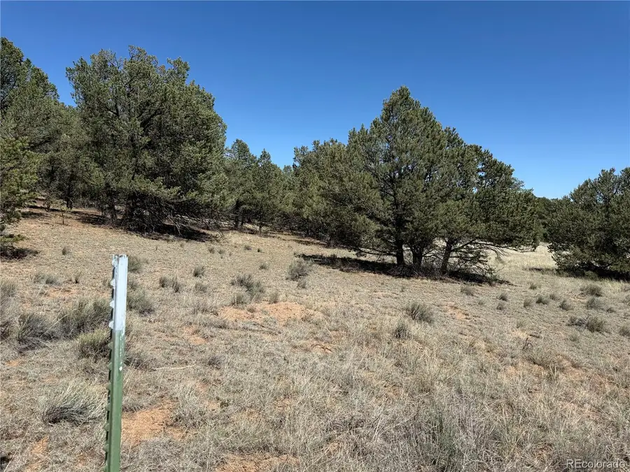520 W View Road, Cotopaxi, CO 81223 - #3