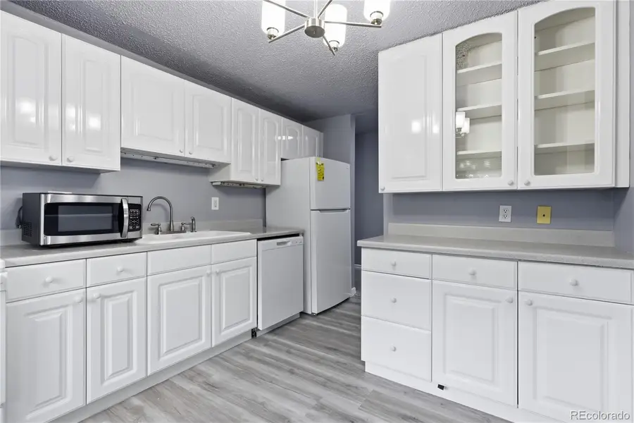 1008 N Corona Street #501, Denver, CO 80218 - #2