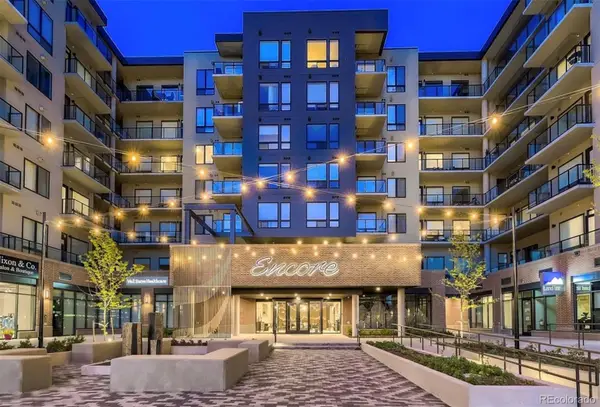 20 Wilcox Street #311, Castle Rock, CO 80104