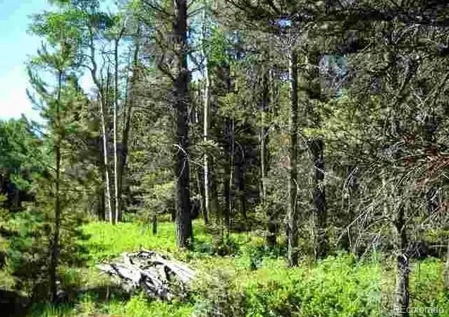 Lot 1882, Fort Garland, CO 81133 - Image #1