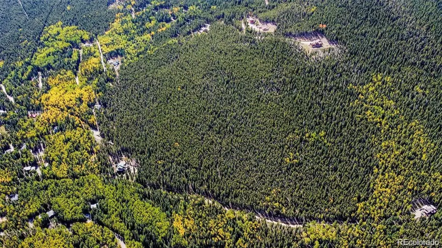 000 Sawmill Lane, Idaho Springs, CO 80452 - #3