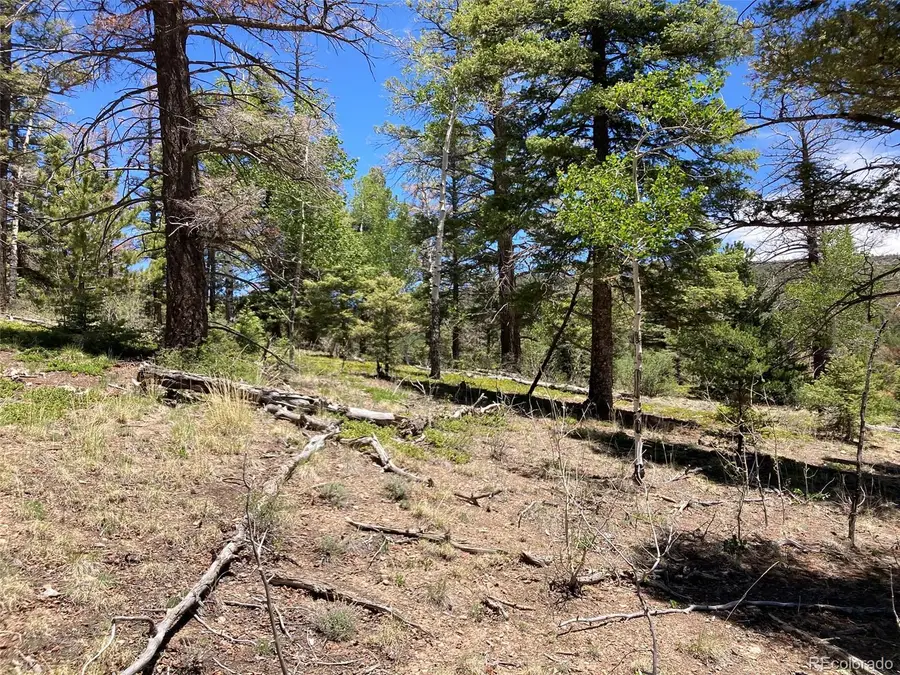 LOT 6617 Forbes, San Luis, CO 81152 - #3
