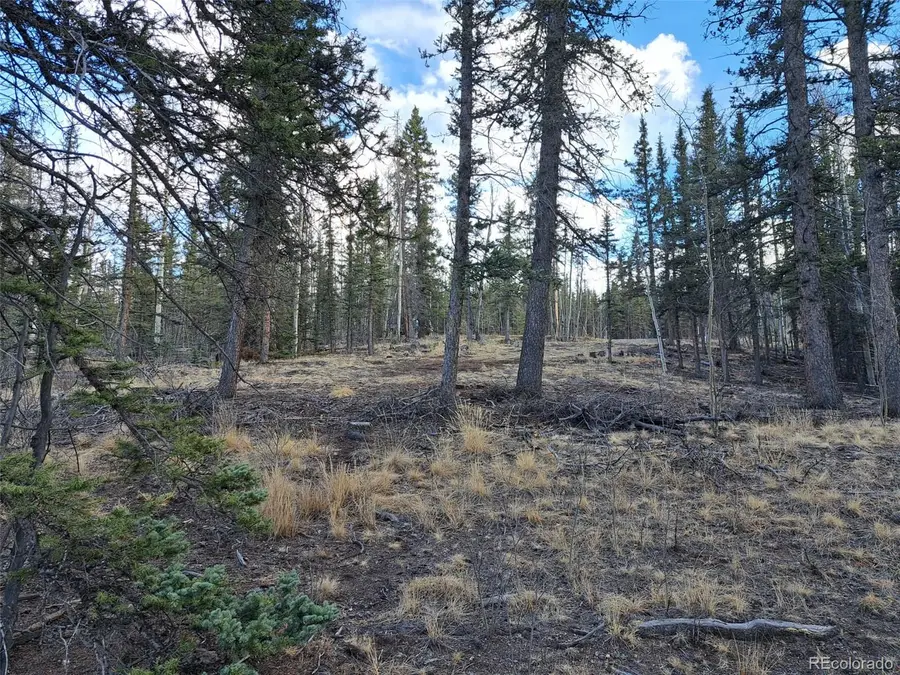 1059 Piaute Way, Jefferson, CO 80456 - #2