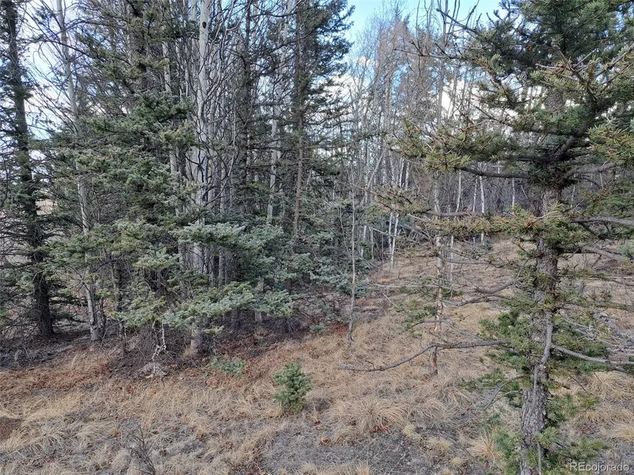 1059 Piaute Way, Jefferson, CO 80456 - #3