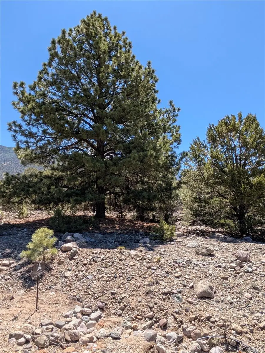 1681 Camino Real, Crestone, CO 81131 - #2