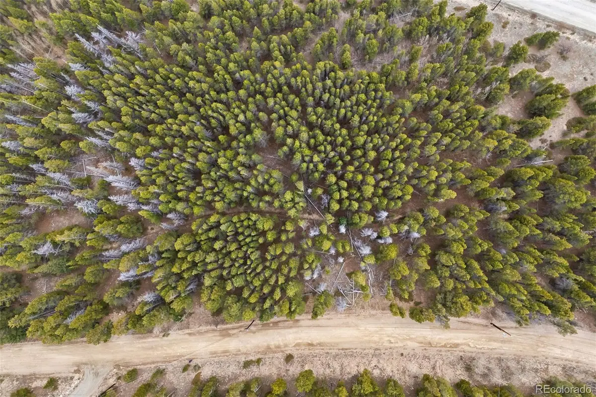 703 Texas Drive, Idaho Springs, CO 80452 - Image #1