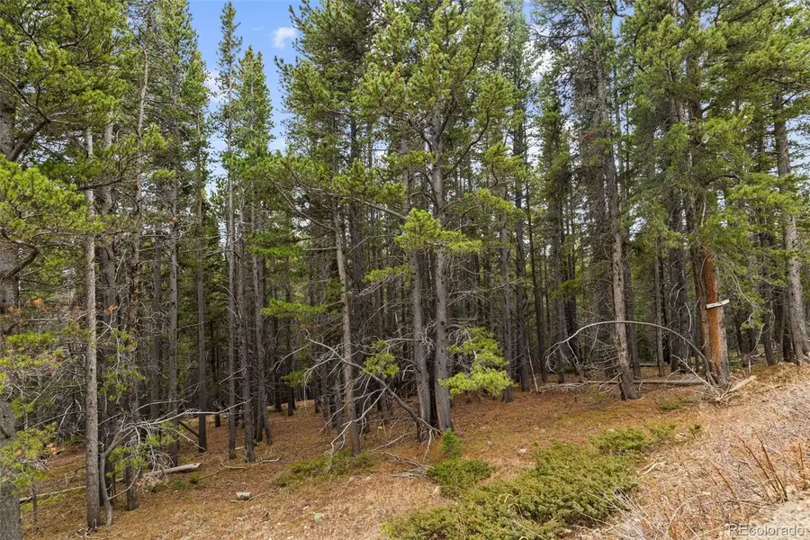 703 Texas Drive, Idaho Springs, CO 80452 - Image #3