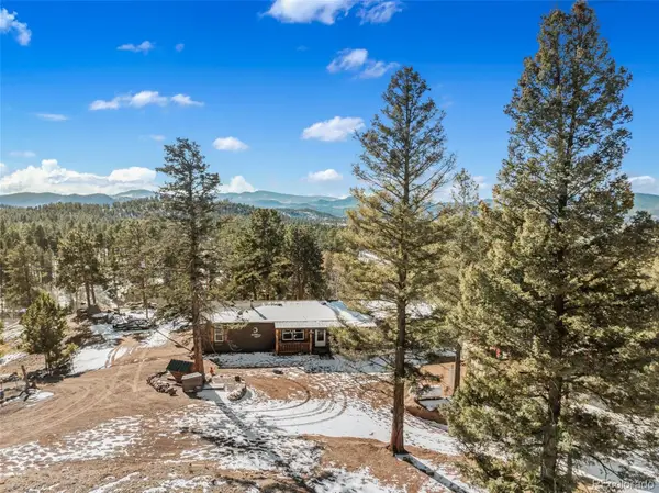 2028 Crystal Peak Drive, Lake George, CO 80827
