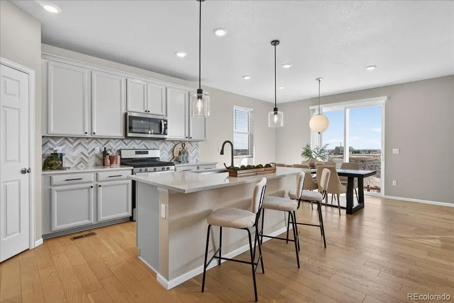 588 Silver Rock Trail, Castle Rock, CO 80104 - #3