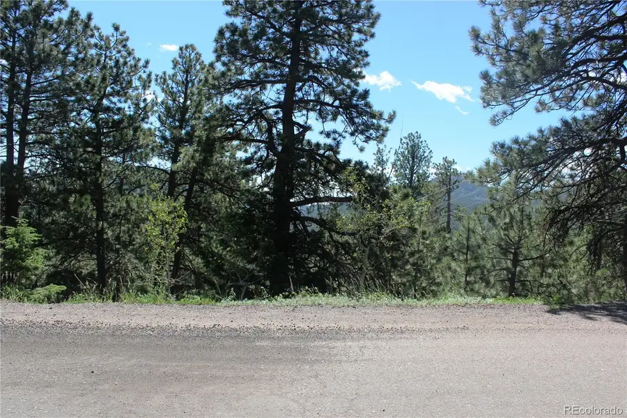 11702 Overlook Drive, Golden, CO 80403 - #3