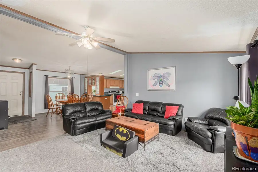 4 Zodiac Street, Golden, CO 80401 - Image #3