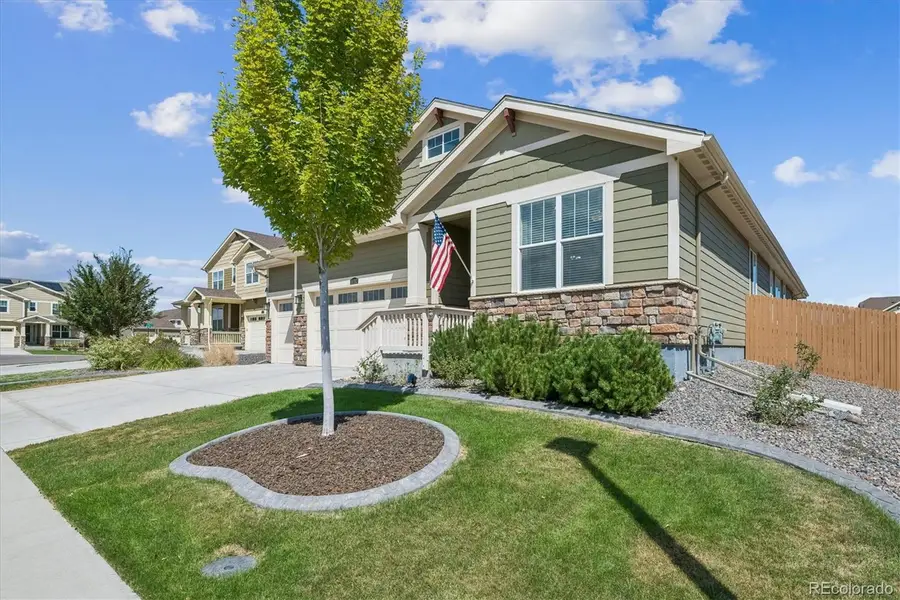 16352 Clayton Street, Brighton, CO 80602 - #3