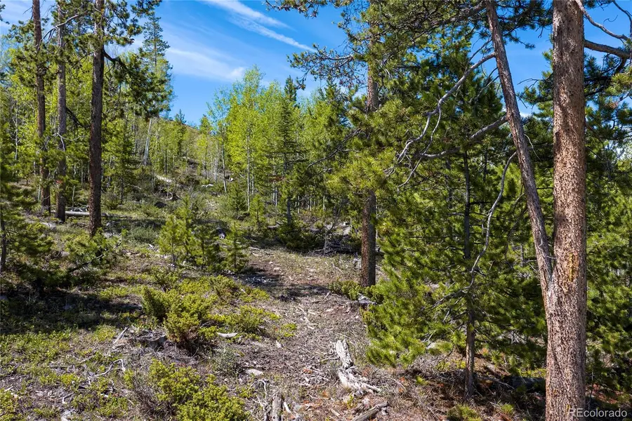 330 Cirrus Way, Granby, CO 80446 - #3