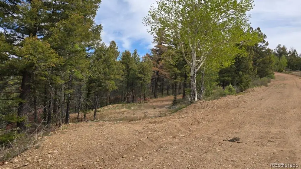 Lot 5825 Covington Road, Fort Garland, CO 81133 - #1