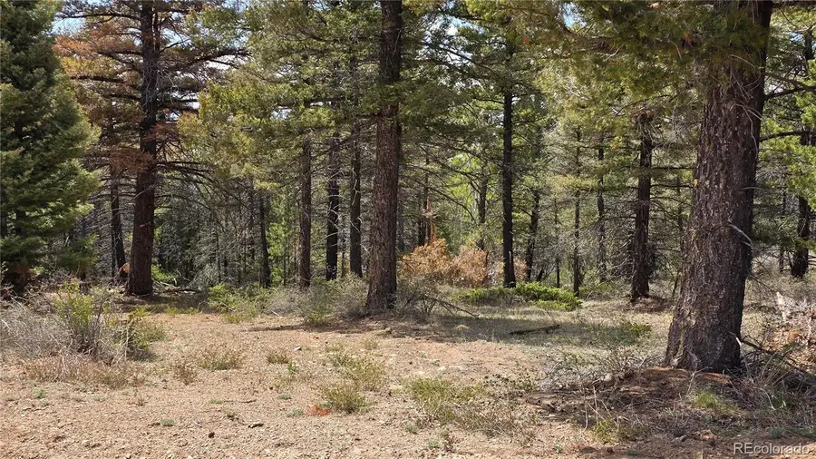 Lot 5825 Covington Road, Fort Garland, CO 81133 - #2