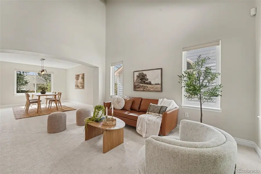 9845 Spring Hill Street, Highlands Ranch, CO 80129 - #3