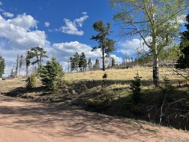 448 Wagon Mesa Loop, Fort Garland, CO 81133 - #1