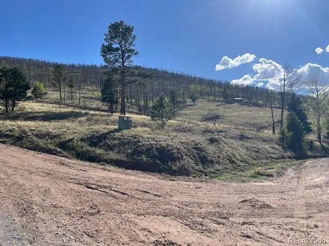 448 Wagon Mesa Loop, Fort Garland, CO 81133 - #2