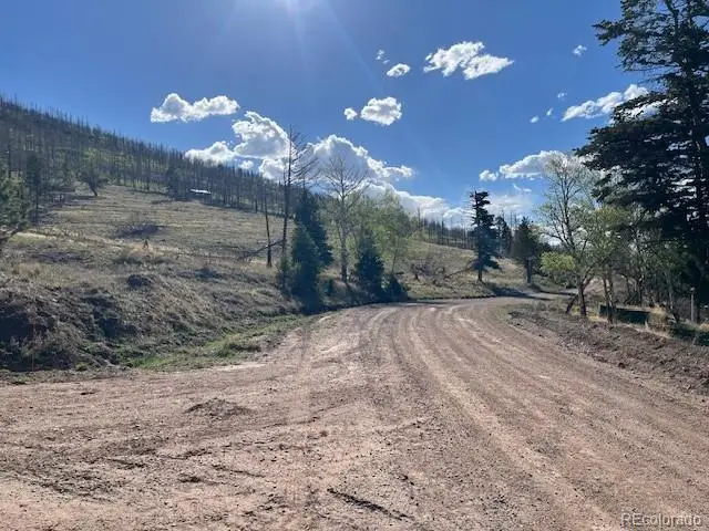 448 Wagon Mesa Loop, Fort Garland, CO 81133 - #3