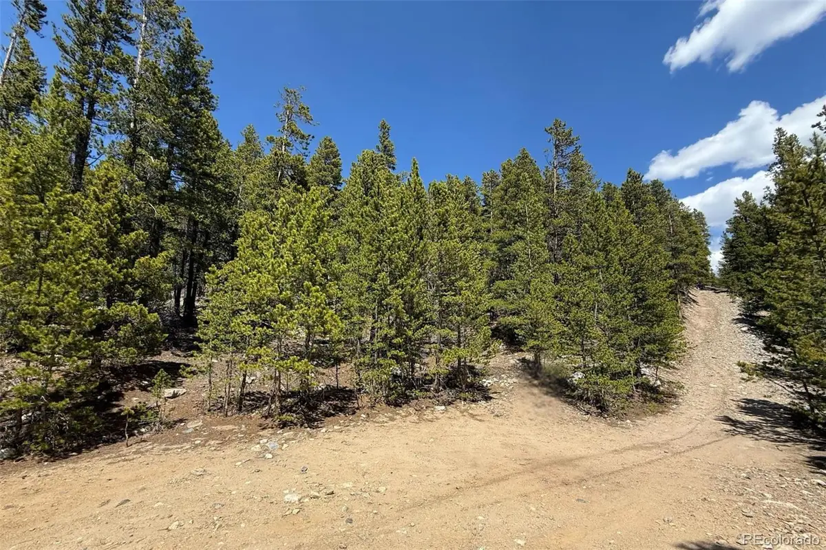 312 Vista Road, Idaho Springs, CO 80452 - #1