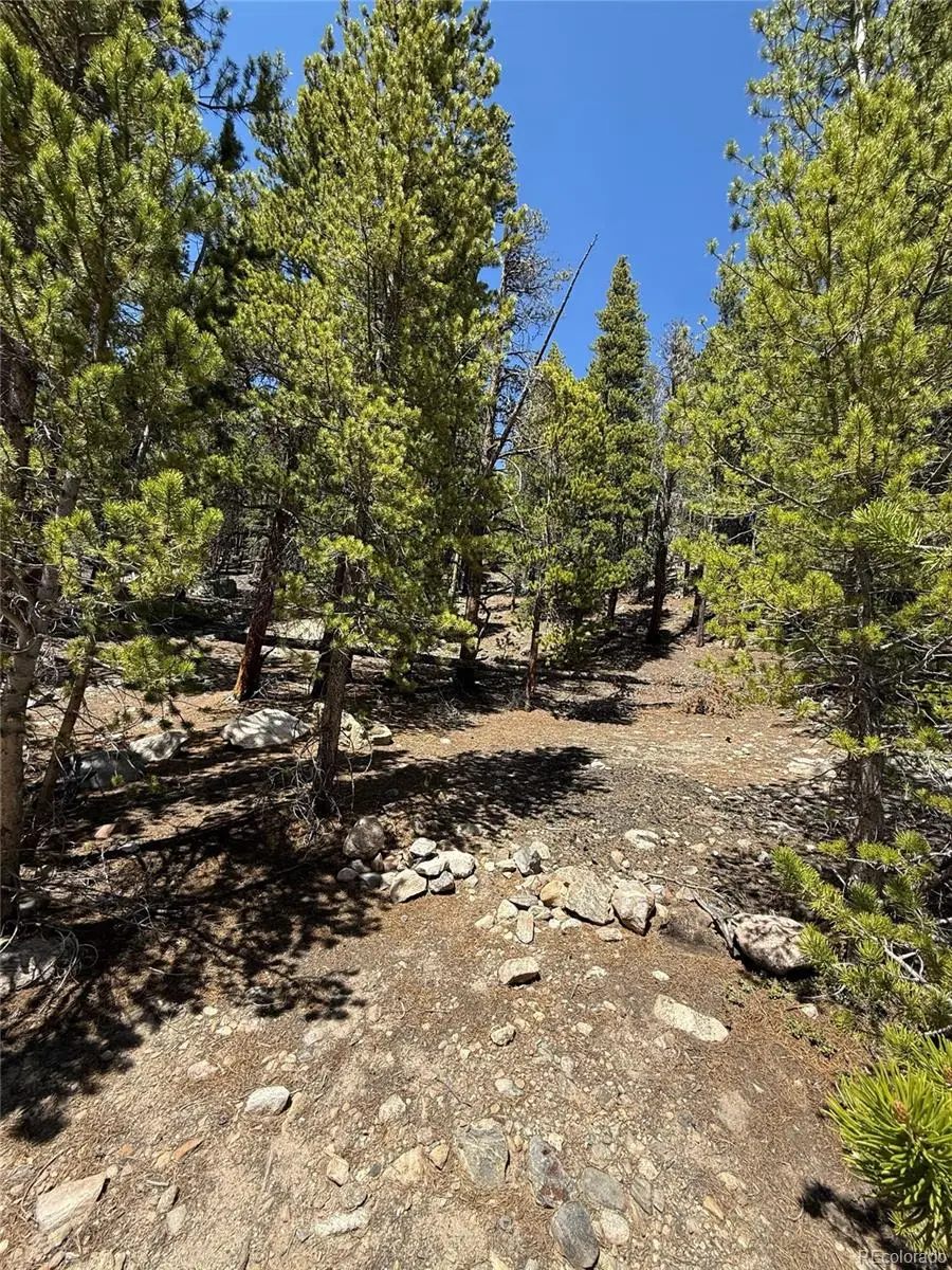 312 Vista Road, Idaho Springs, CO 80452 - #3