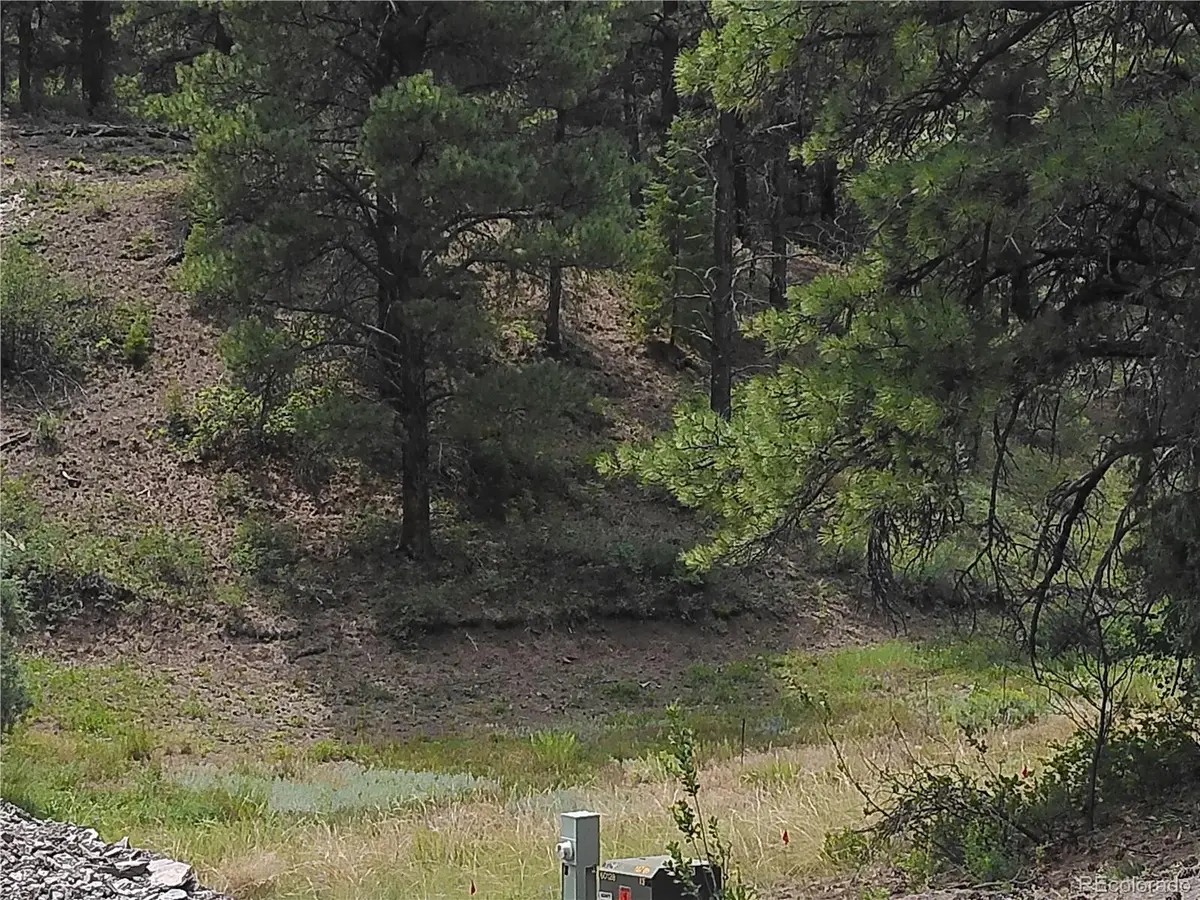 165 Tiffany Place, Pagosa Springs, CO 81147 - #1