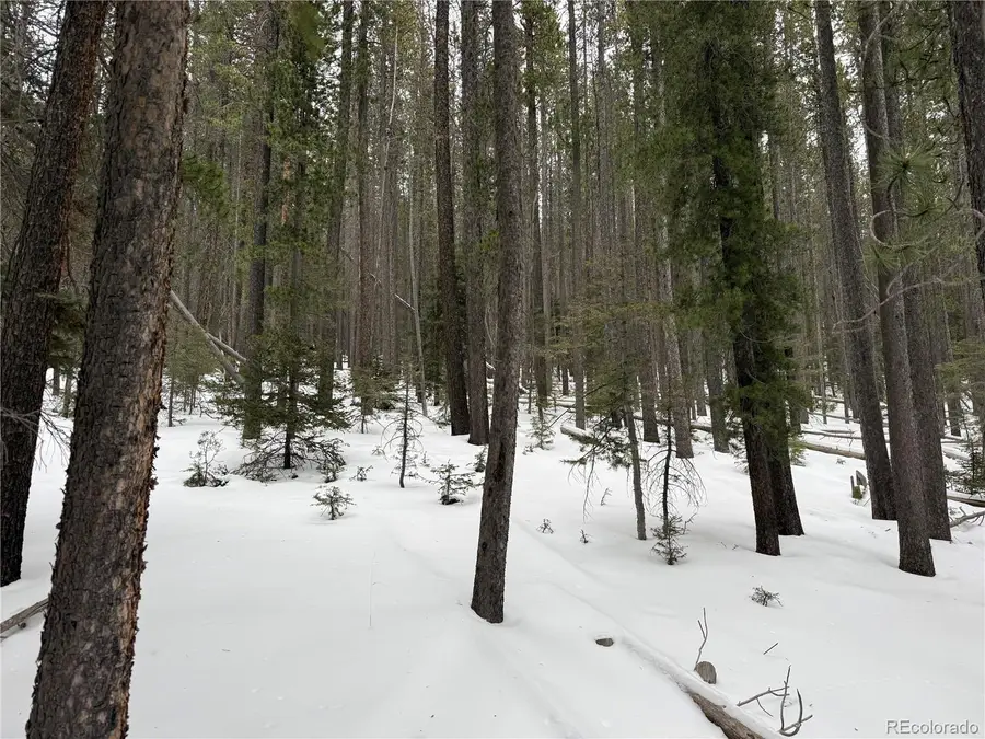 Lot 2805 Moir Drive, Fort Garland, CO 81133 - Image #2