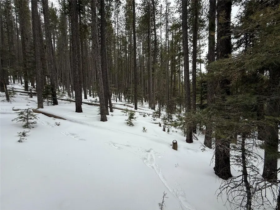 Lot 2805 Moir Drive, Fort Garland, CO 81133 - Image #3