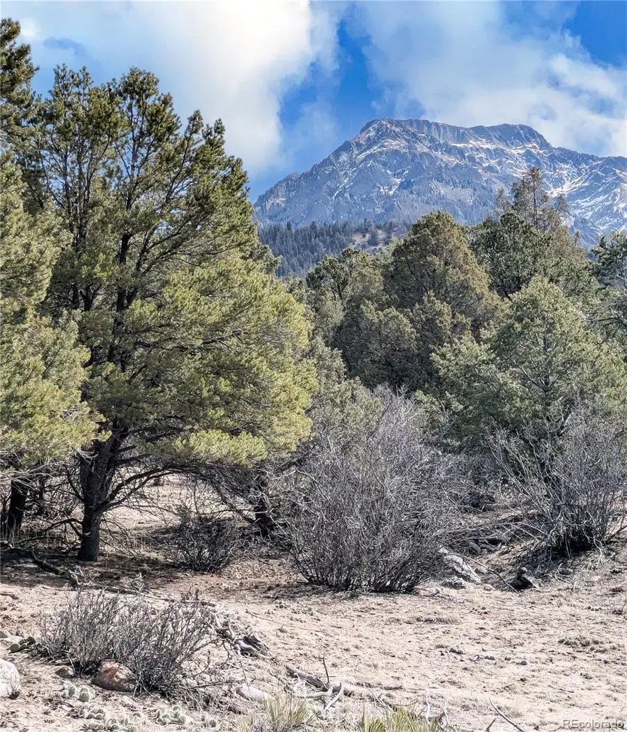 446 Arrowhead Overlook, Crestone, CO 81131 - #2