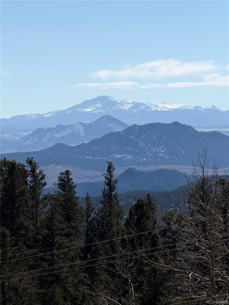 11593 Braun Way, Conifer, CO 80433 - #2