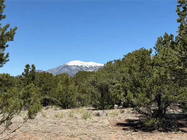 3231 Camino Del Rey, Crestone, CO 81131
